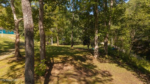 Tiny photo for 997 Miller Hollow Rd, Bean Station, TN 37708 (MLS # 1315561)