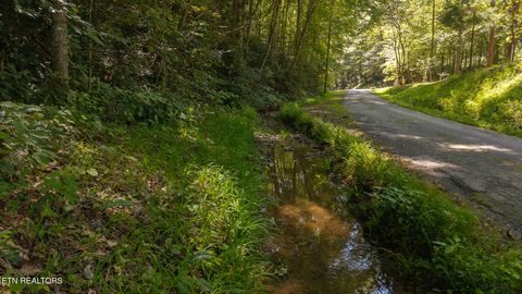 Tiny photo for 997 Miller Hollow Rd, Bean Station, TN 37708 (MLS # 1315561)