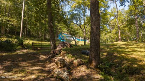 Tiny photo for 997 Miller Hollow Rd, Bean Station, TN 37708 (MLS # 1315561)