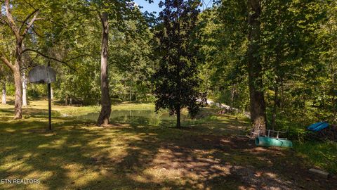 Tiny photo for 997 Miller Hollow Rd, Bean Station, TN 37708 (MLS # 1315561)