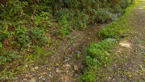 Tiny photo for 997 Miller Hollow Rd, Bean Station, TN 37708 (MLS # 1315561)