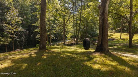 Tiny photo for 997 Miller Hollow Rd, Bean Station, TN 37708 (MLS # 1315561)