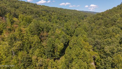 Tiny photo for 997 Miller Hollow Rd, Bean Station, TN 37708 (MLS # 1315561)