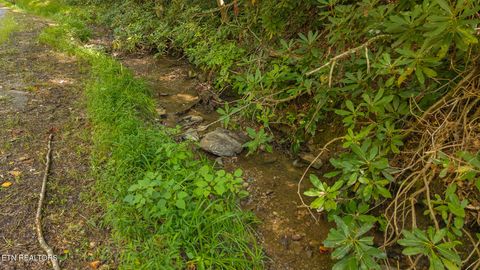 Tiny photo for 997 Miller Hollow Rd, Bean Station, TN 37708 (MLS # 1315561)