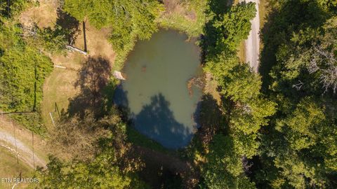 Tiny photo for 997 Miller Hollow Rd, Bean Station, TN 37708 (MLS # 1315561)