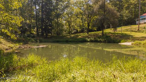 Tiny photo for 997 Miller Hollow Rd, Bean Station, TN 37708 (MLS # 1315561)