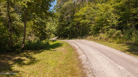 Tiny photo for 997 Miller Hollow Rd, Bean Station, TN 37708 (MLS # 1315561)