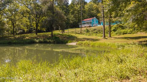 Tiny photo for 997 Miller Hollow Rd, Bean Station, TN 37708 (MLS # 1315561)