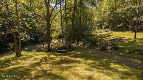 Tiny photo for 997 Miller Hollow Rd, Bean Station, TN 37708 (MLS # 1315561)
