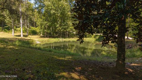 Tiny photo for 997 Miller Hollow Rd, Bean Station, TN 37708 (MLS # 1315561)