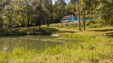 Tiny photo for 997 Miller Hollow Rd, Bean Station, TN 37708 (MLS # 1315561)
