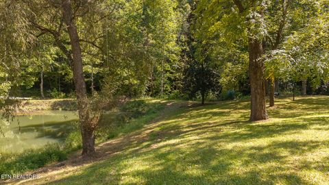Tiny photo for 997 Miller Hollow Rd, Bean Station, TN 37708 (MLS # 1315561)