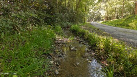 Tiny photo for 997 Miller Hollow Rd, Bean Station, TN 37708 (MLS # 1315561)