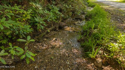 Tiny photo for 997 Miller Hollow Rd, Bean Station, TN 37708 (MLS # 1315561)