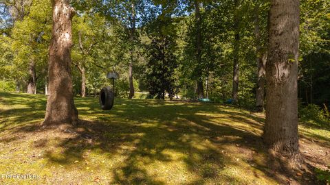 Tiny photo for 997 Miller Hollow Rd, Bean Station, TN 37708 (MLS # 1315561)