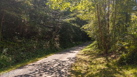 Tiny photo for 997 Miller Hollow Rd, Bean Station, TN 37708 (MLS # 1315561)