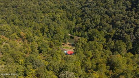 Tiny photo for 997 Miller Hollow Rd, Bean Station, TN 37708 (MLS # 1315561)