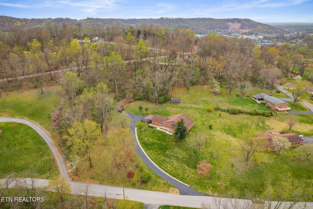 Photo of 817 Peach Drive, Livingston, TN 38570 (MLS # 1320866)