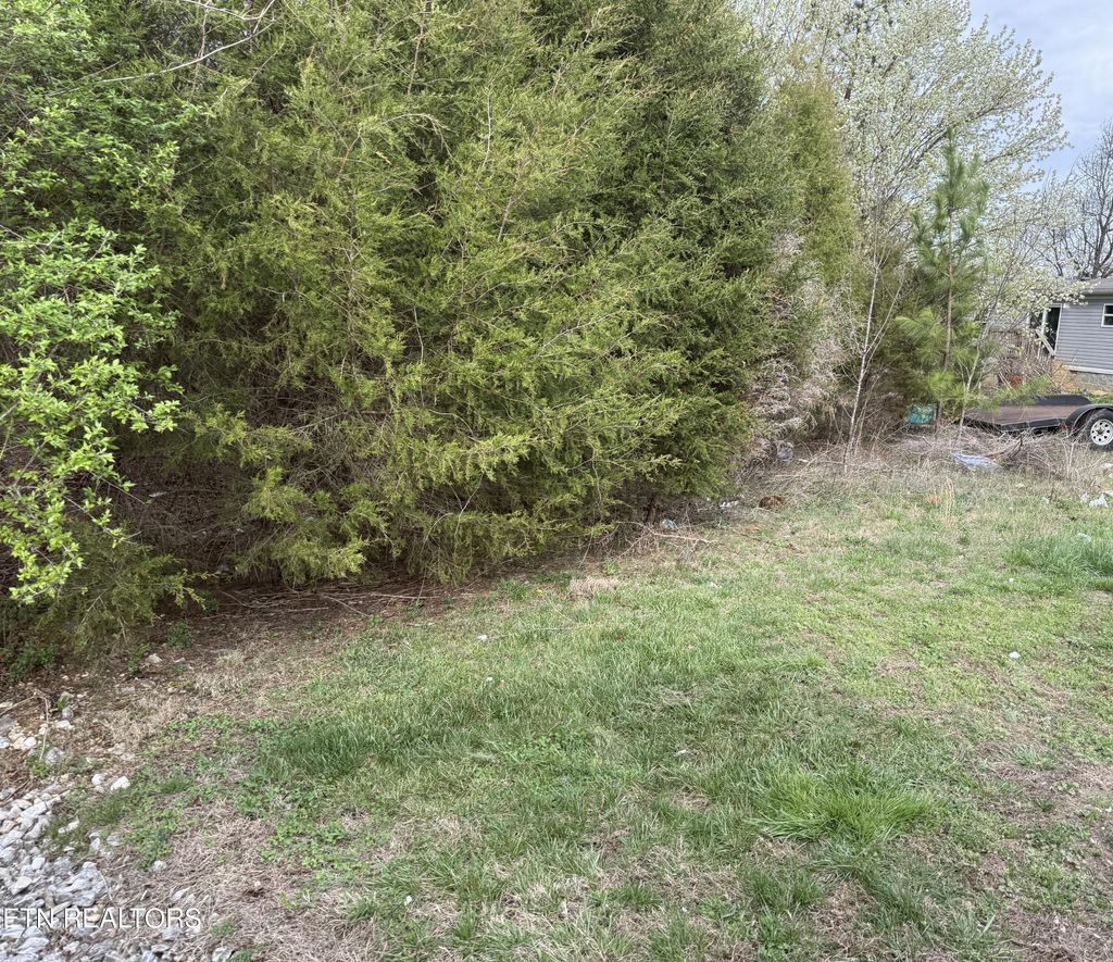 Photo of 104 Raintree Lane #Lot 15, Kingston, TN 37763 (MLS # 1332647)