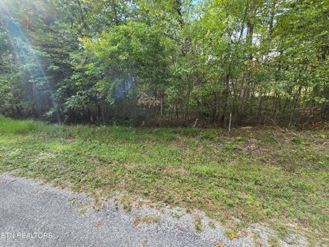 Photo of 4027 Desoto Drive, Crossville, TN 38572 (MLS # 1356685)