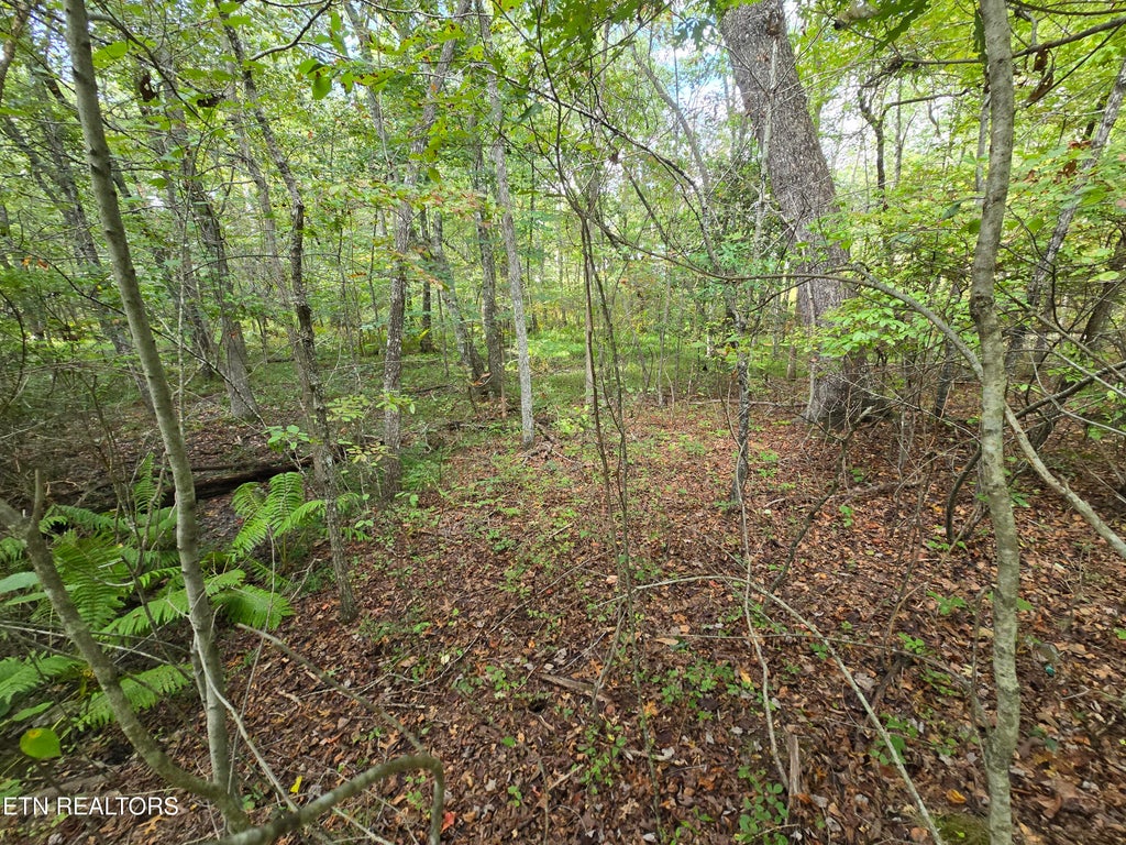 Photo of 4027 Desoto Drive, Crossville, TN 38572 (MLS # 1356685)