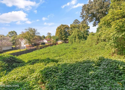 Tiny photo for 4335 Henson Rd, Knoxville, TN 37921 (MLS # 1359683)