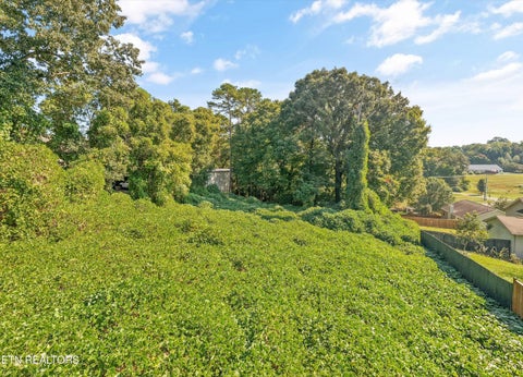Tiny photo for 4335 Henson Rd, Knoxville, TN 37921 (MLS # 1359683)