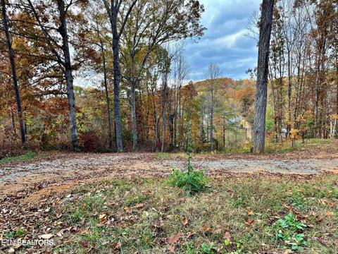 Tiny photo for 575 JD Walden Road Rd, Ten Mile, TN 37880 (MLS # 1343430)