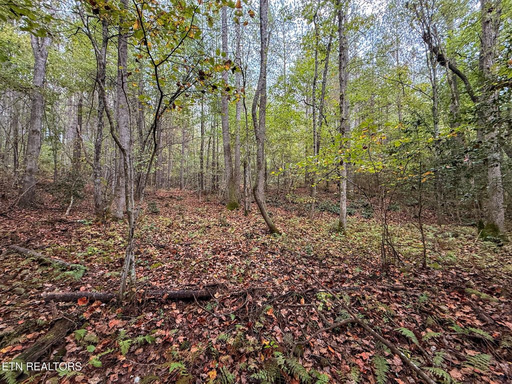 Photo of Lot 27 Airport Rd, Rockwood, TN 37854 (MLS # 1310470)