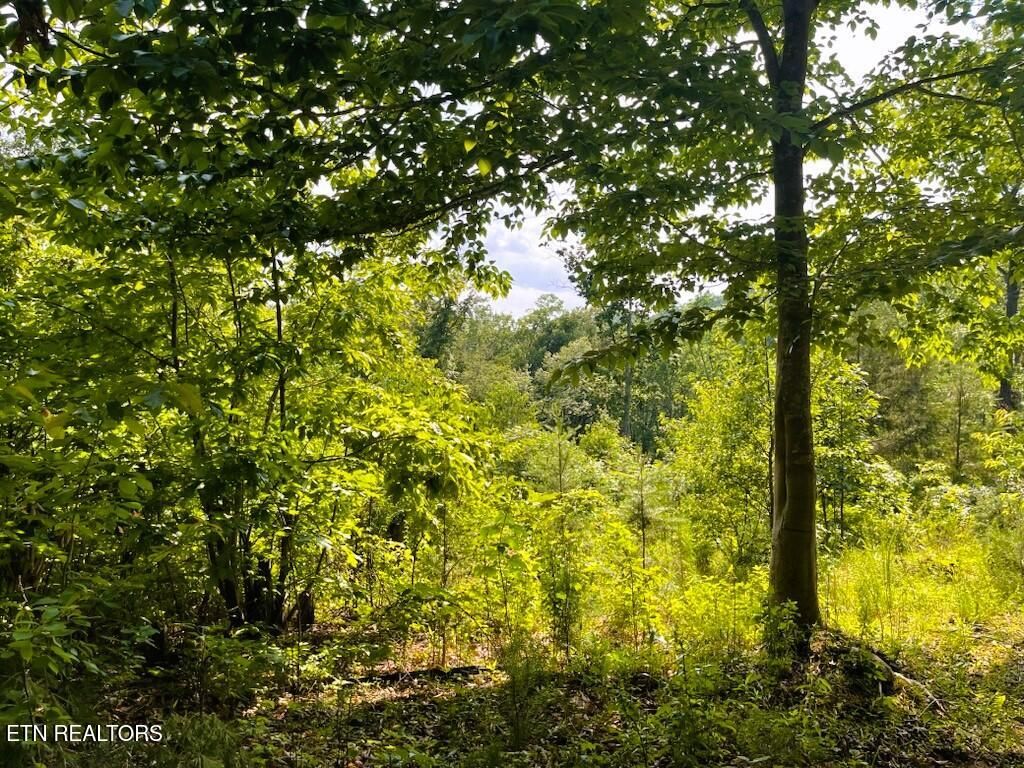 Photo of 0 Blair Rd, Harriman, TN 37748 (MLS # 1303863)
