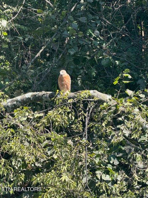 Tiny photo for 10417 Almanac Lane, Knoxville, TN 37932 (MLS # 1328973)