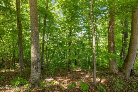 Tiny photo for 0 Providence Ridge Way, Knoxville, TN 37932 (MLS # 1339122)