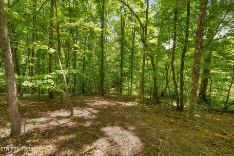 Tiny photo for 0 Providence Ridge Way, Knoxville, TN 37932 (MLS # 1339122)