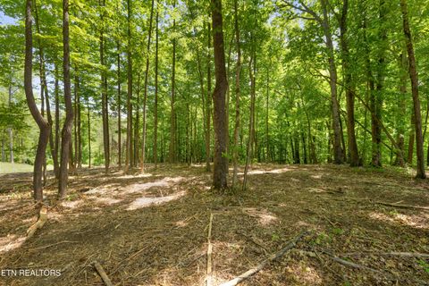 Tiny photo for 0 Providence Ridge Way, Knoxville, TN 37932 (MLS # 1339122)