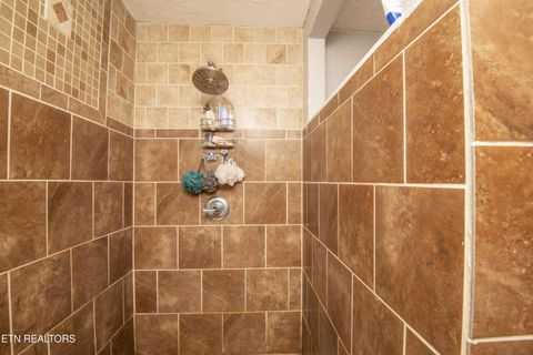 Tiny photo for 231 Mountain Lake Drive, Rocky Top, TN 37769 (MLS # 1346607)