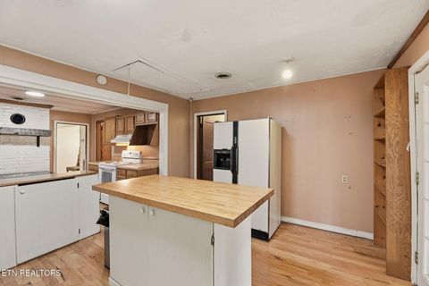 Tiny photo for 3623 Sugar Grove Valley Rd, Harriman, TN 37748 (MLS # 1320867)