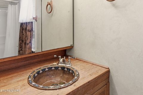 Tiny photo for 3623 Sugar Grove Valley Rd, Harriman, TN 37748 (MLS # 1320867)