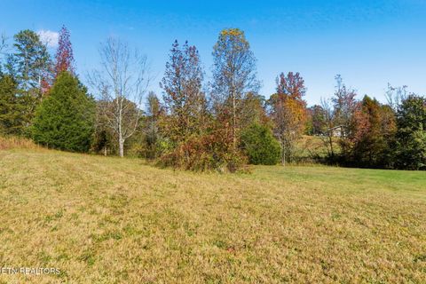 Tiny photo for 3623 Sugar Grove Valley Rd, Harriman, TN 37748 (MLS # 1320867)