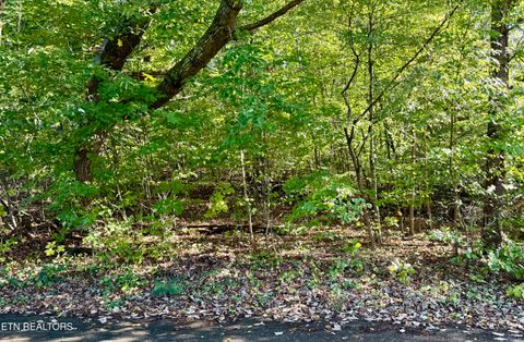 Photo of Reagan St, Harrogate, TN 37752 (MLS # 1318063)