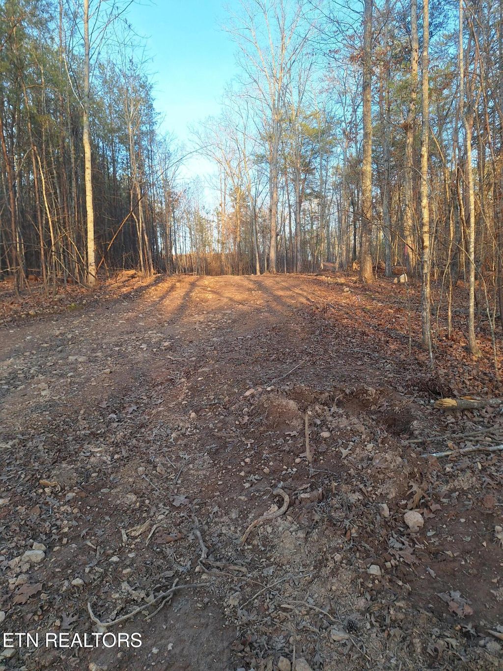 Photo of 2 Mecca Pike, Tellico Plains, TN 37385 (MLS # 1331963)