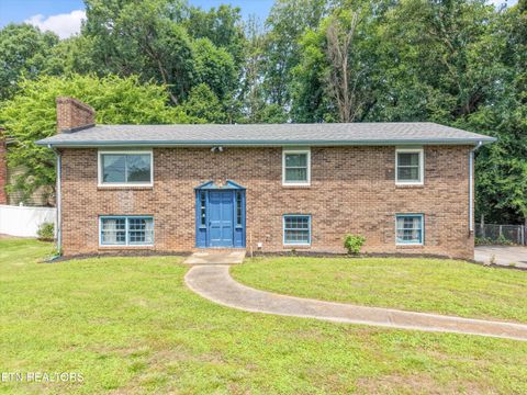 Photo of 10917 Sonja Drive, Knoxville, TN 37934 (MLS # 1343112)