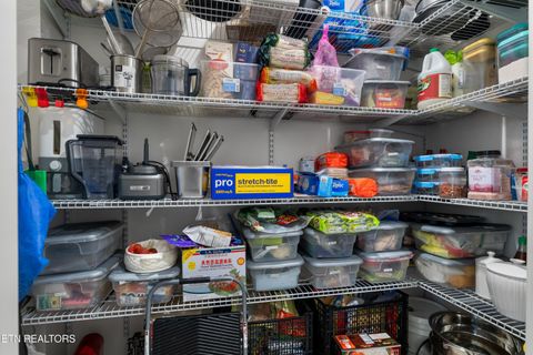 Tiny photo for 6325 Coves Edge Tr, Russellville, TN 37860 (MLS # 1333595)