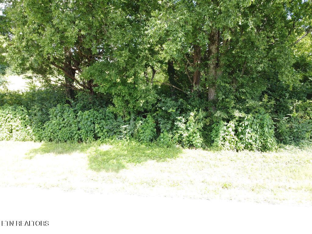 Photo of 00 County Road 436, Athens, TN 37303 (MLS # 1339715)