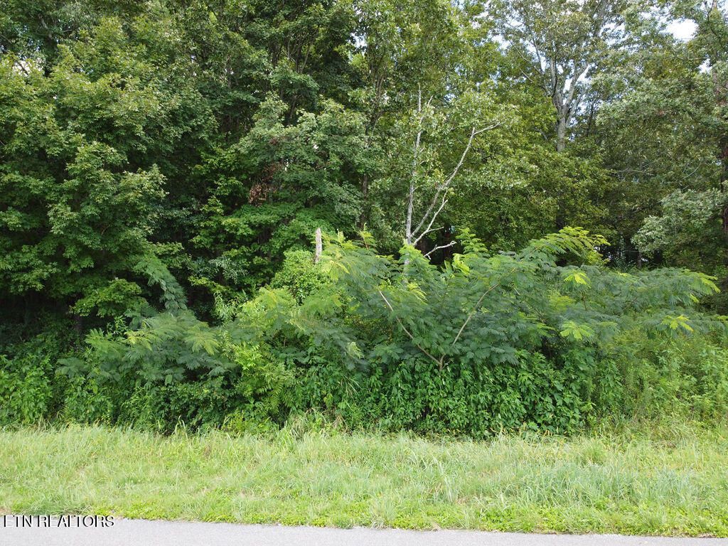 Photo of 00 County Road 436, Athens, TN 37303 (MLS # 1339715)