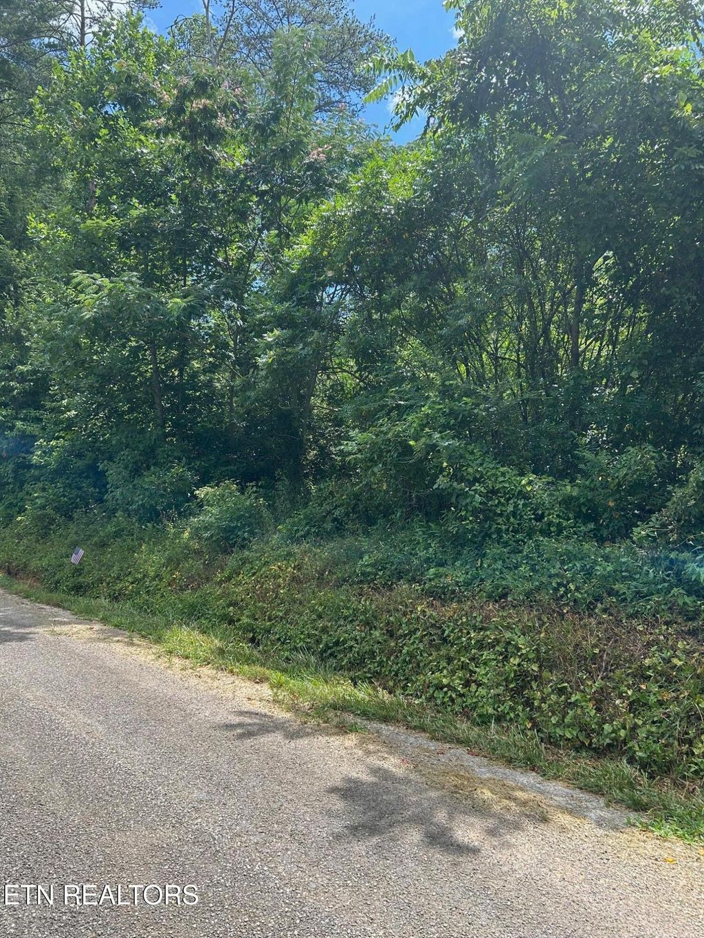 Photo of Antioch Church Rd, Vonore, TN 37885 (MLS # 1309910)