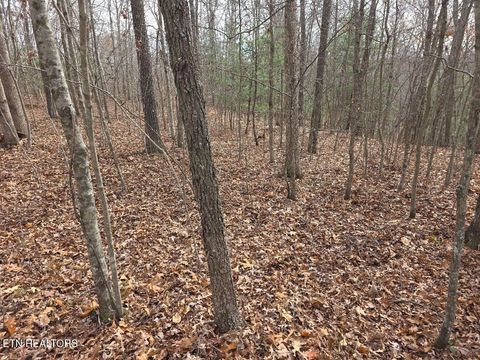 Tiny photo for Junior Cox Rd, Deer Lodge, TN 37726 (MLS # 1324547)