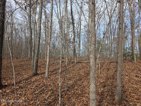 Tiny photo for Junior Cox Rd, Deer Lodge, TN 37726 (MLS # 1324547)