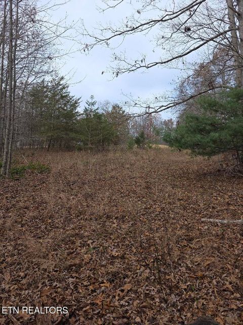 Tiny photo for Junior Cox Rd, Deer Lodge, TN 37726 (MLS # 1324547)