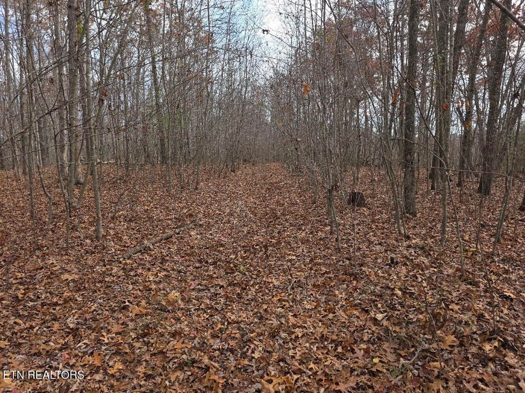Photo of Junior Cox Rd, Deer Lodge, TN 37726 (MLS # 1324547)
