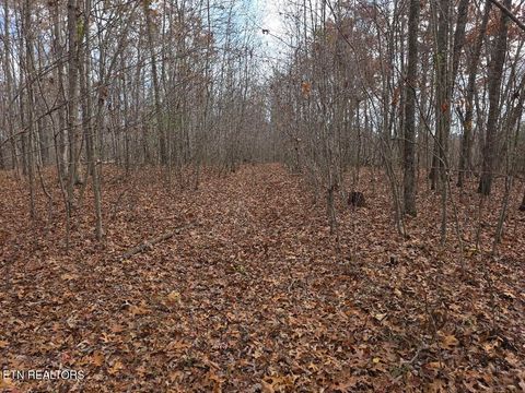 Photo of Junior Cox Rd, Deer Lodge, TN 37726 (MLS # 1324547)